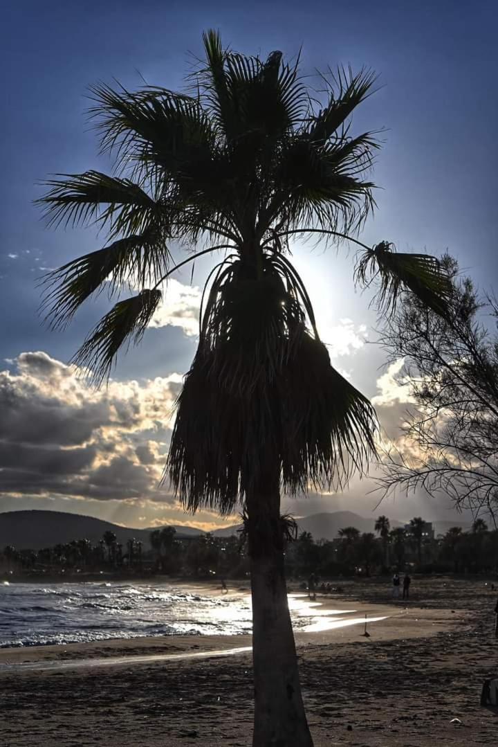 Vacances En Paradis Saint-Raphaël Zewnętrze zdjęcie