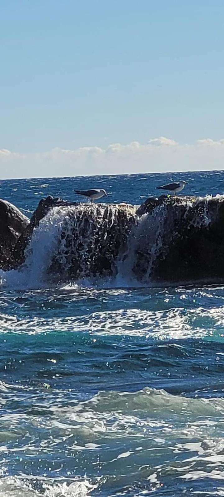 Vacances En Paradis Saint-Raphaël Zewnętrze zdjęcie